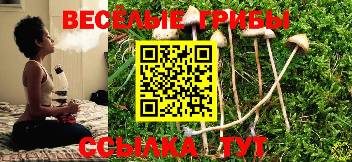 Галлюциногенные грибы мухоморы  Балабаново 